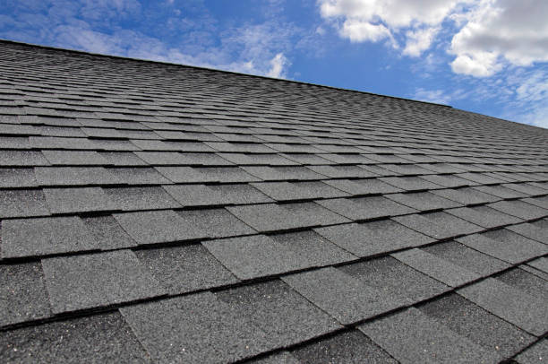 Professional Roofing Services in Elm City, NC